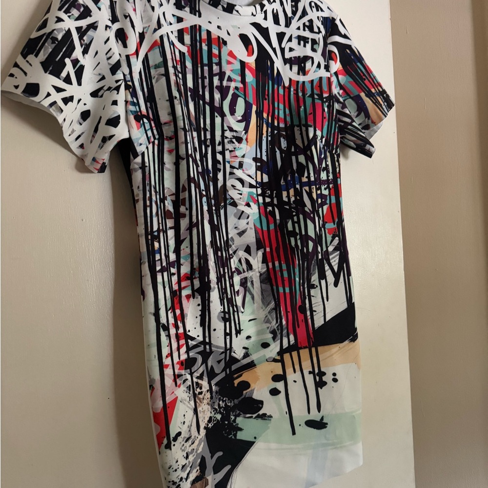 Zara Urban Art Dress